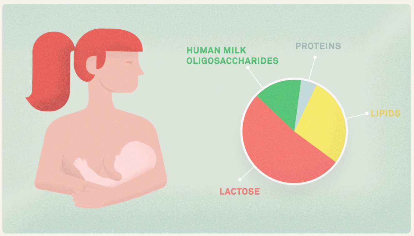 Breastfeeding_graph.png